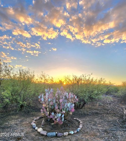 --13122 W Dusty Flat Pl, Tucson, AZ, 85735-2437 | Card Image