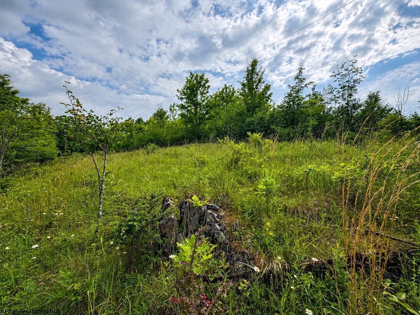 Land in Dryfork 4
