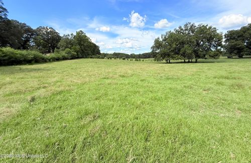 Tbd 1 Montgomery Road, Bogue Chitto, MS, 39629 | Card Image