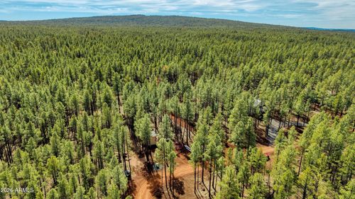 --4.74 Acres Birdsong Way, Lakeside, AZ, 85929 | Card Image