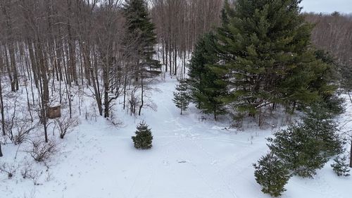 V/L 17 Mile Rd, Leroy, MI, 49655 | Card Image