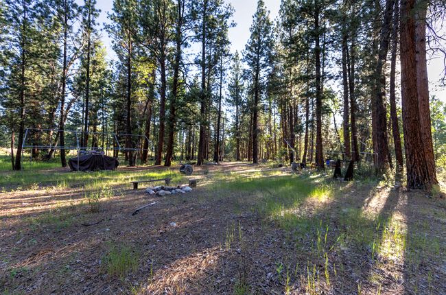 279 Conner Cutoff Rd, Home with 0 bedrooms, 0 bathrooms and null parking in Conner MT | Image 18