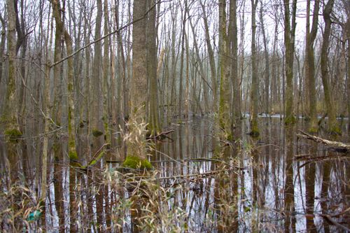 483 Phillips 131 Rd, Marvell, AR, 72366 | Card Image