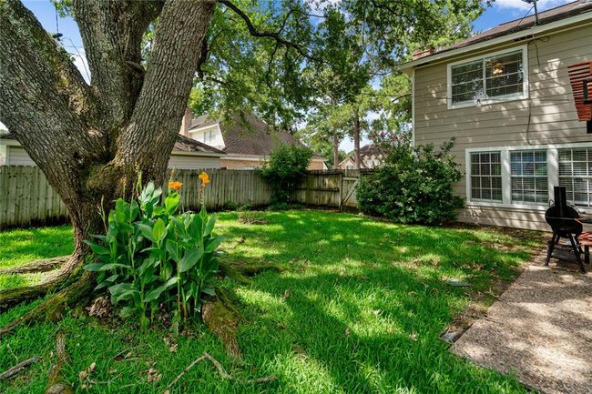 Stunning back yard | Image 30