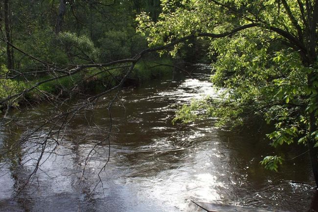 River | Image 4
