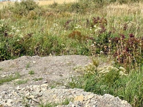 north-triangle-0 Highway 11, Englehart, ON, P0J1H0 | Card Image