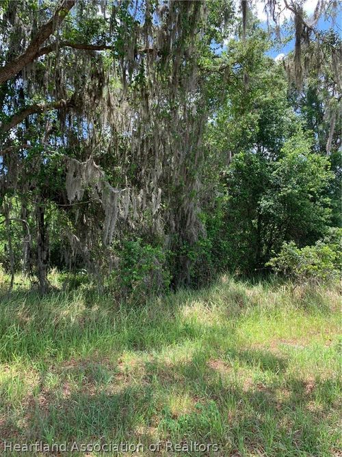 3485 W County Line Rd, Avon Park, FL, 33825 | Card Image