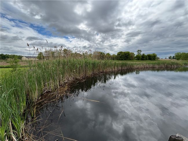5120 Tellier Rd, Home with 0 bedrooms, 0 bathrooms and null parking in Newark NY | Image 29