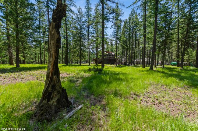337 Forest Loop, Home with 0 bedrooms, 0 bathrooms and null parking in Eureka MT | Image 8