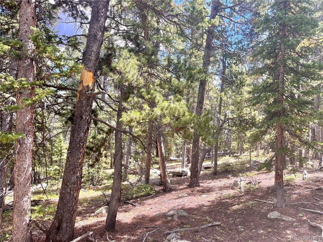 676 Dry Gulch Rd, Home with 0 bedrooms, 0 bathrooms and null parking in Fairplay CO | Image 6
