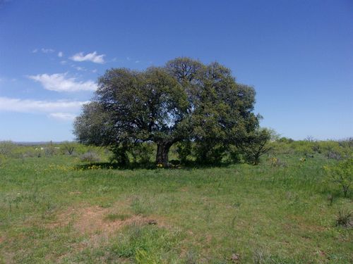 2698 Cr 105, Castell, TX, 78643 | Card Image