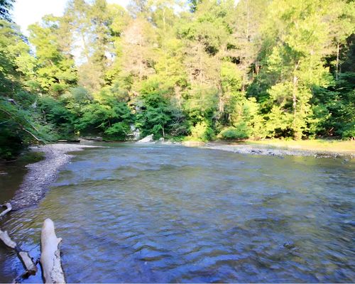 217 Saw Mill Ln, Duff, TN, 37729-3513 | Card Image