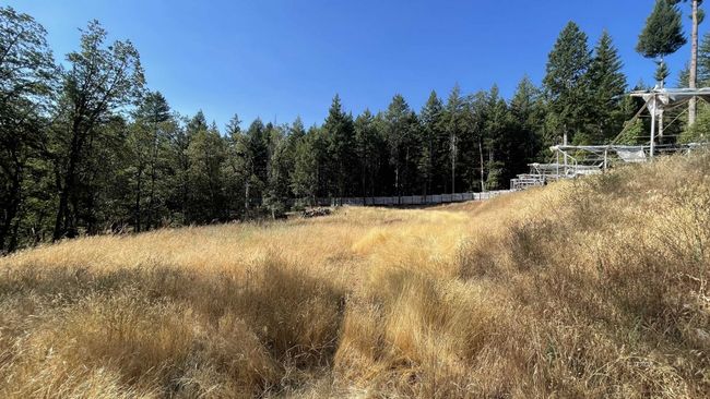 Big open flat area | Image 40