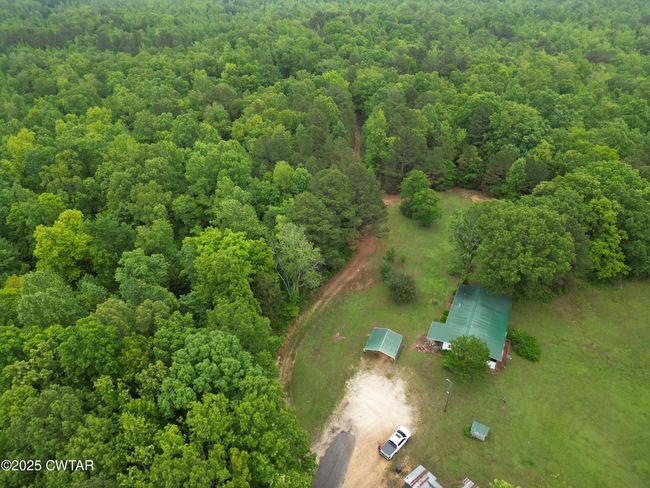 0 Buggy Branch Ln, Home with 0 bedrooms, 0 bathrooms and null parking in Cedar Grove TN | Image 15