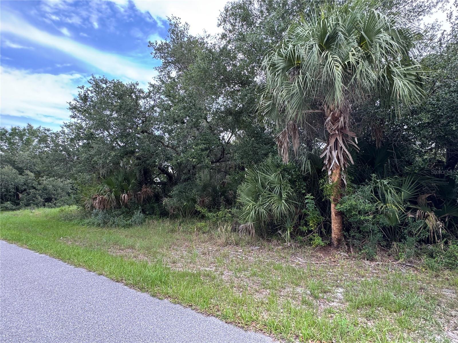 Land in PORT CHARLOTTE 4