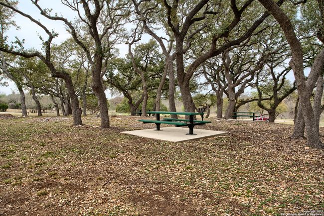 1411 Frontier, House other with 5 bedrooms, 3 bathrooms and null parking in Spring Branch TX | Image 60