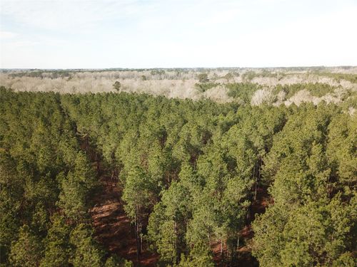 00 Off Countree Road, Zwolle, LA, 71486 | Card Image