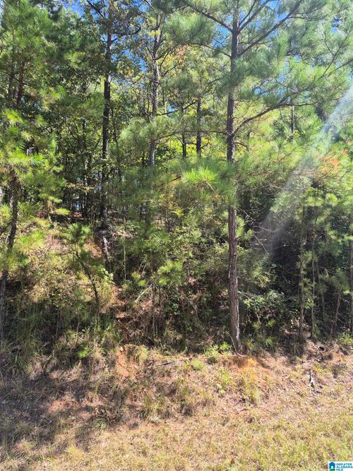 1-00 County Road 87, Maplesville, AL, 36750 | Card Image
