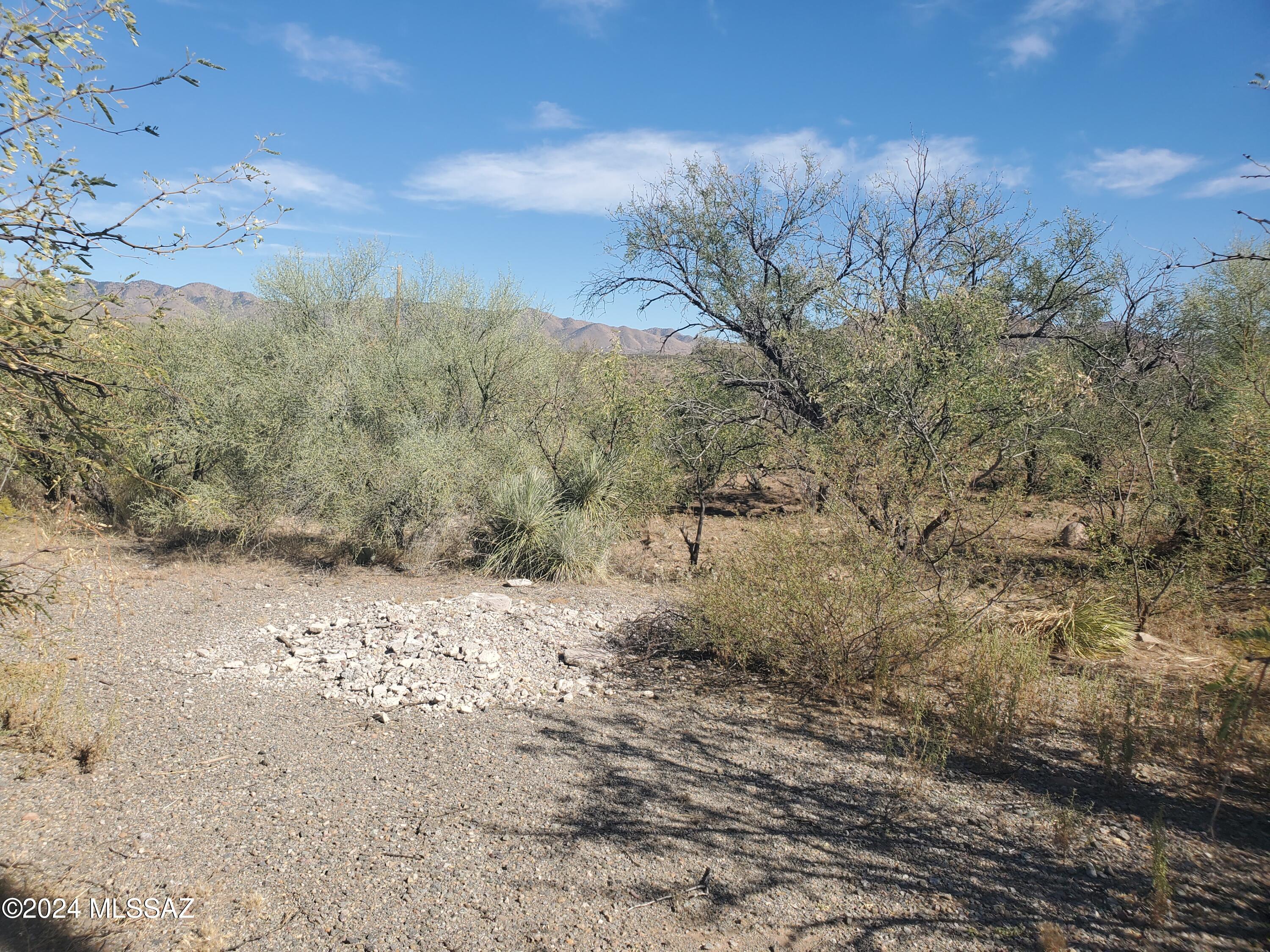 Land in Rio Rico 4