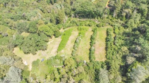 16194 Vierra Rd, Rackerby, CA, 95972-8008 | Card Image