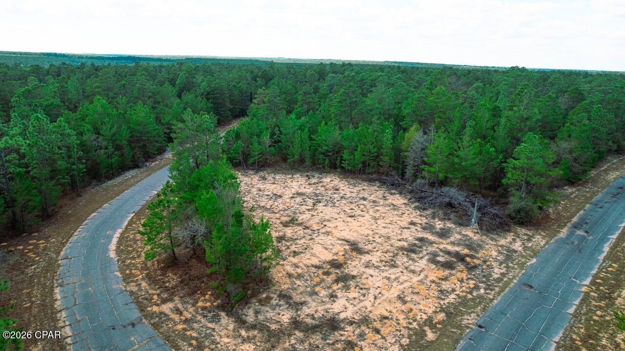 Land in Chipley 4