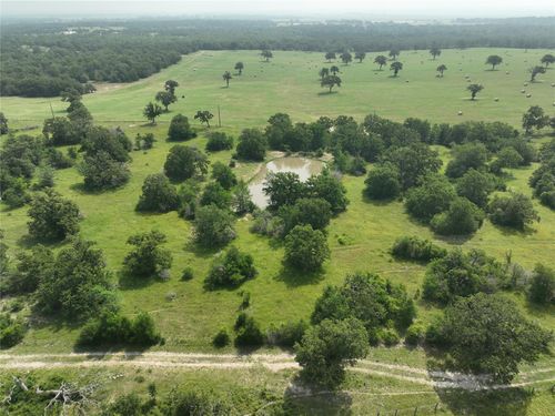 TBD County Road 446 Lane, Snook, TX, 77878 | Card Image