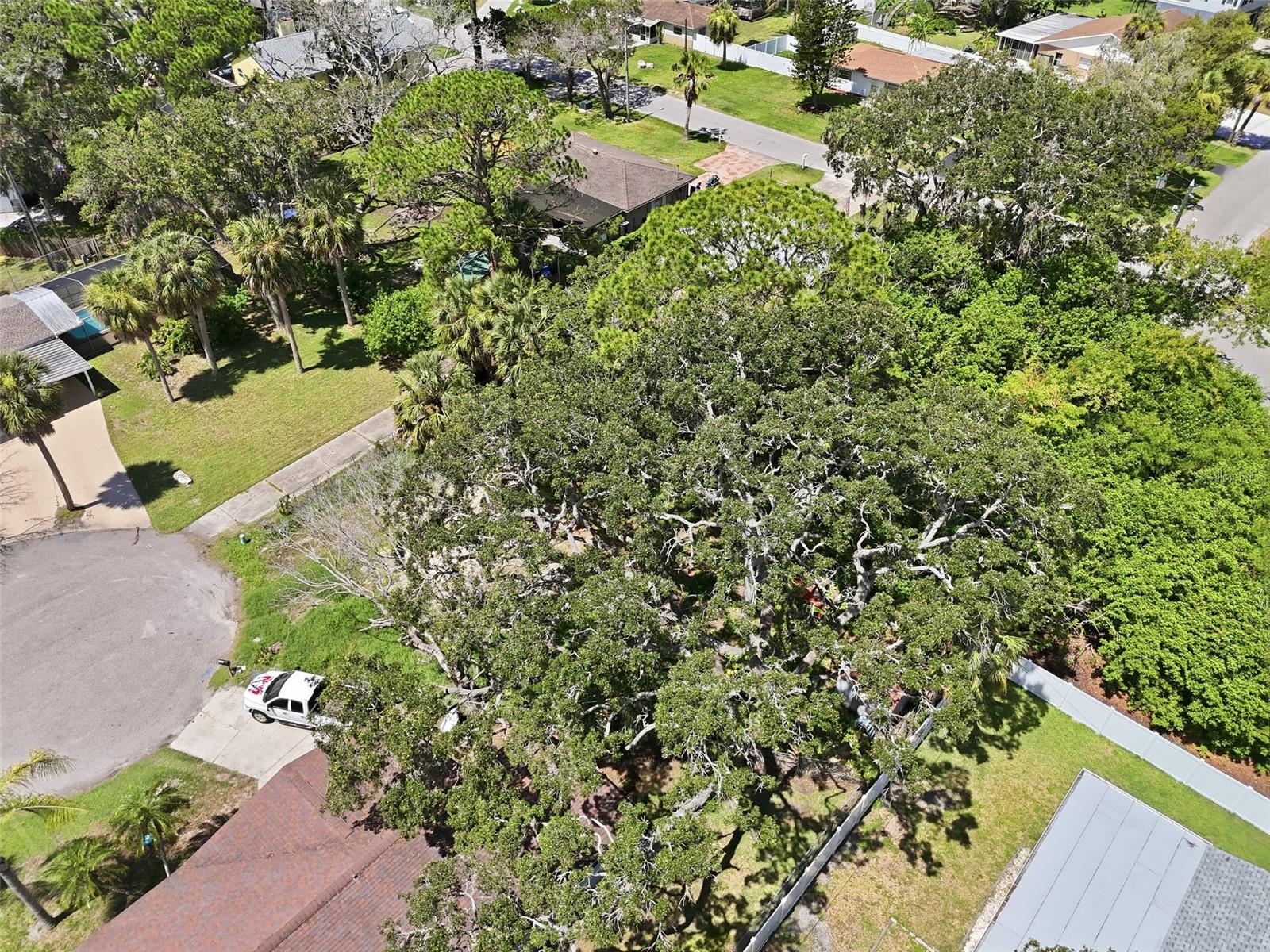 Land in NEW PORT RICHEY 4