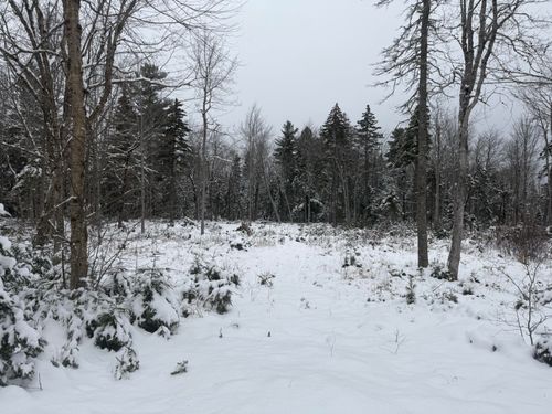 11 Sunset Hill Road, Hancock, ME, 04640 | Card Image