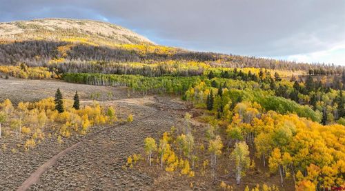 TBD County Road 887, Gunnison, CO, 81230 | Card Image