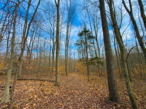 0 Long Fork Rd, Piketon, OH, 45661 | Card Image