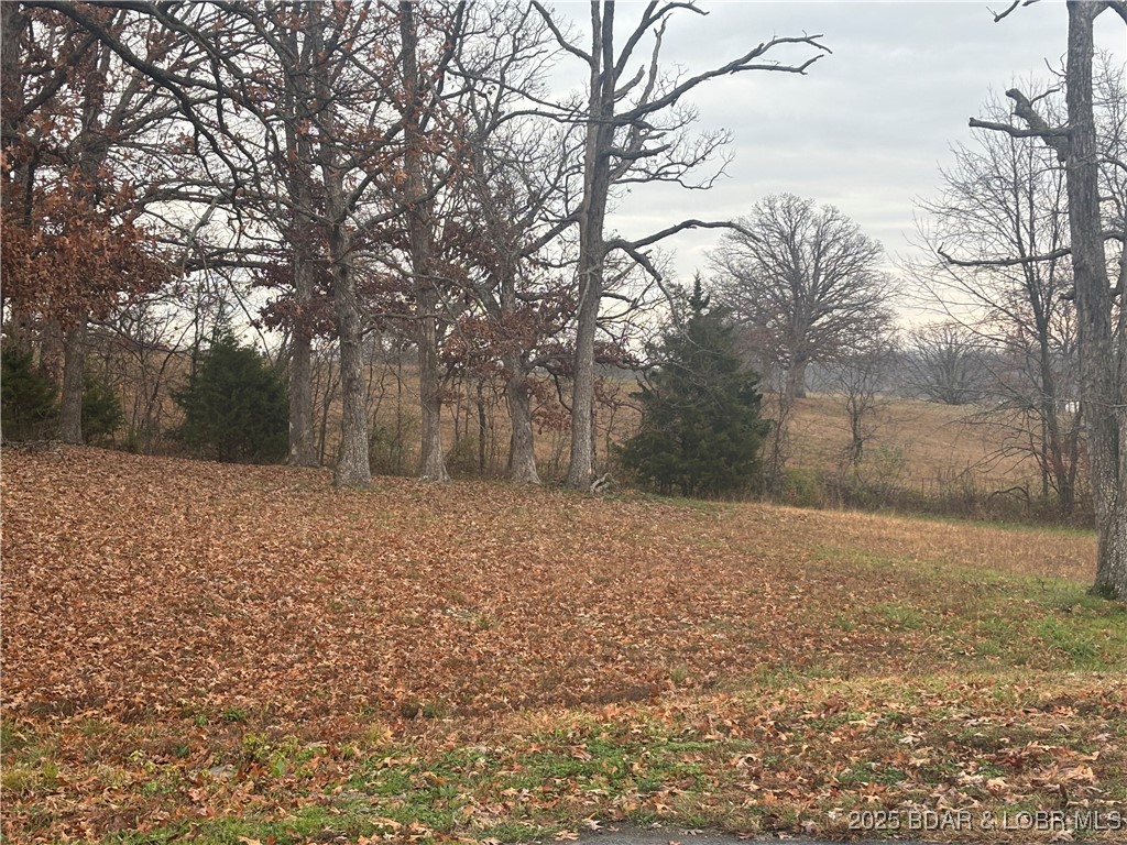 Commercial Sale in Laurie 4