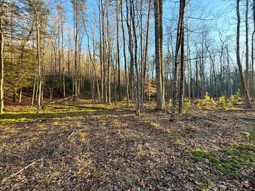 0 Dicks Creek Rd, New Castle, VA, 24127 | Card Image
