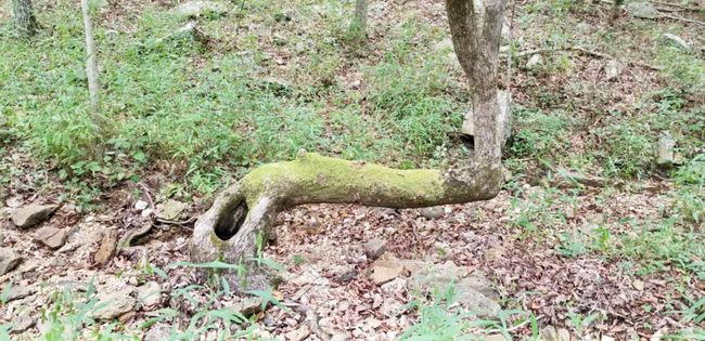 Property | Image 18