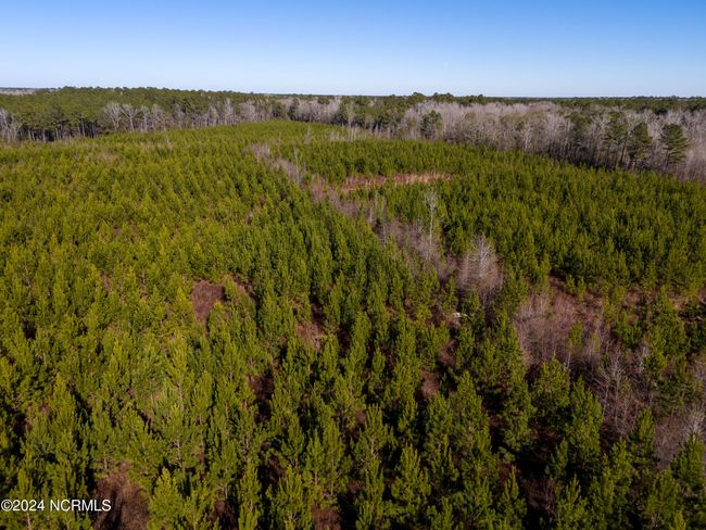 00 Sykes Town Rd, Home with 0 bedrooms, 0 bathrooms and null parking in Currie NC | Image 31