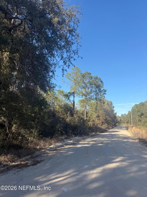 ZZZ Nettles Rd, Florahome, FL, 32140 | Card Image