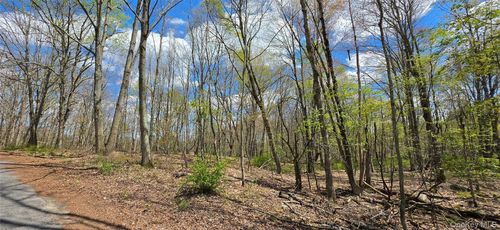 Lot 17.14 Skipperene Road, Cochecton, NY, 12726 | Card Image