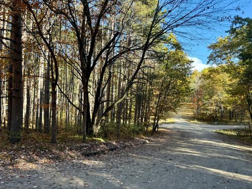 40-12426 Lone Wolf Trl, Stanwood, MI, 49346-9444 | Card Image