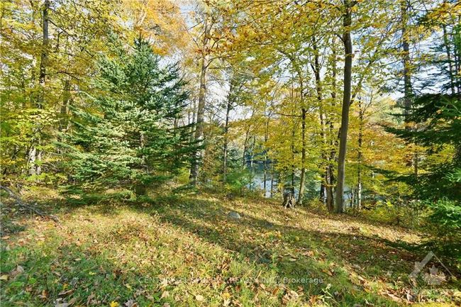 2255 A Calabogie Rd, Home with 0 bedrooms, 0 bathrooms and null parking in Burnstown ON | Image 5