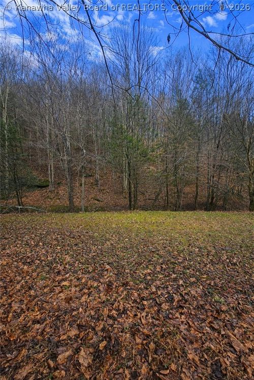709 Cicerone Rd, Gandeeville, WV, 25243-8659 | Card Image