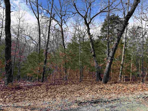 0 Chippewa Dr, Cherokee Village, AR, 72529 | Card Image