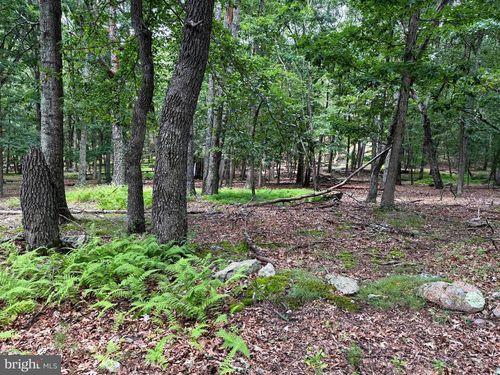 Sub parcels of Lt 27 &amp Boonedock Drive, UPPER TRACT, WV, 26866 | Card Image