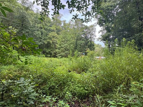 302 Wilson Cove Rd, Swannanoa, NC, 28778-2825 | Card Image