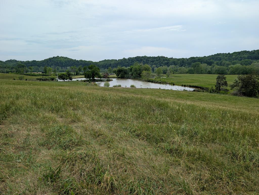 Land in Burkesville