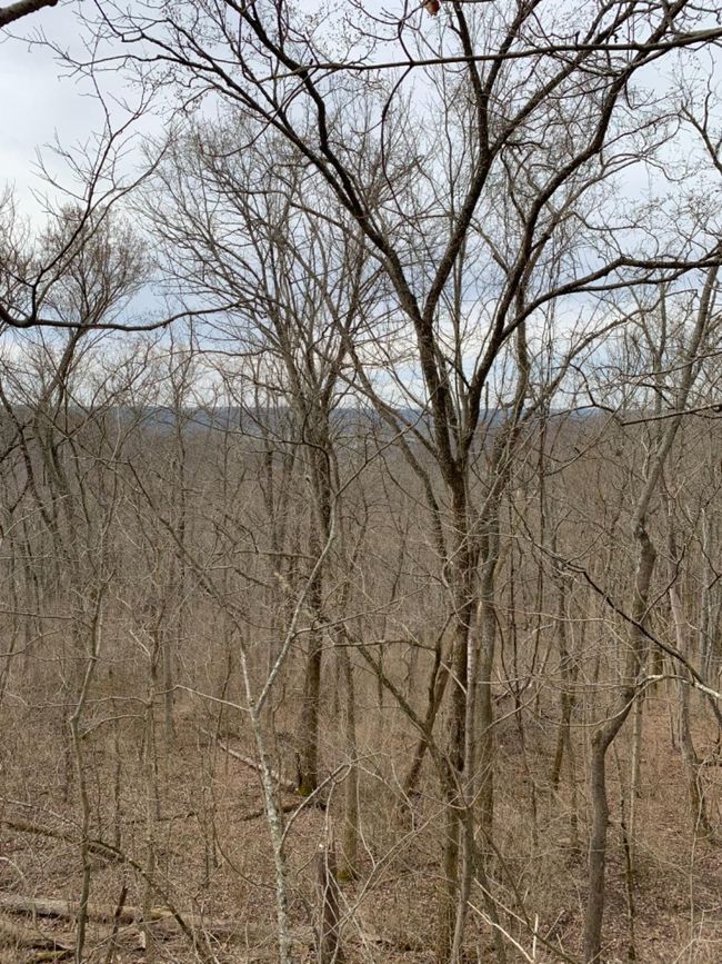 6049 Big Run Rd, Home with 0 bedrooms, 0 bathrooms and null parking in Georgetown OH | Image 37