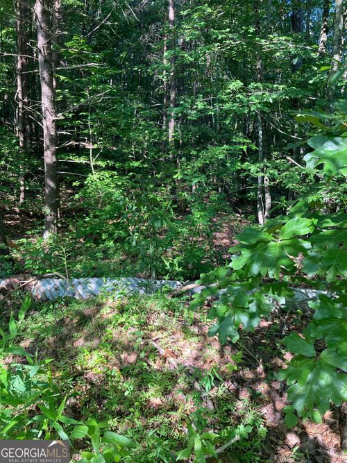 0 Grant Mill Rd, Alto, GA, 30510 | Card Image