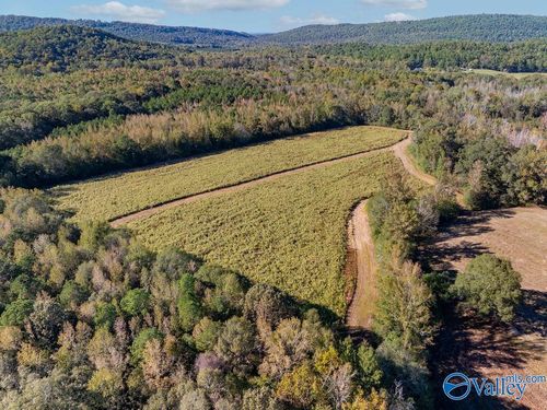 5395 Fairview Cove Rd, Altoona, AL, 35952-8641 | Card Image