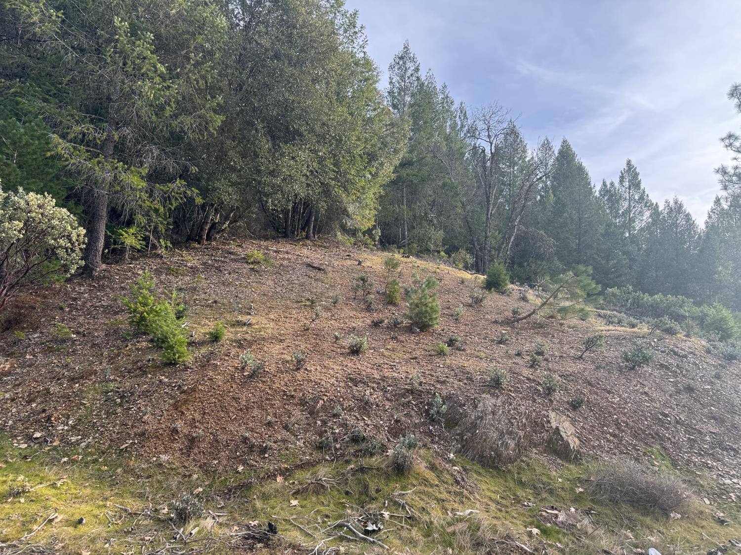 Land in Grass Valley