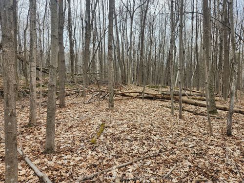 LOT Cedar Sands Rdwy Way, Rideau Lakes, ON, K0E1N0 | Card Image