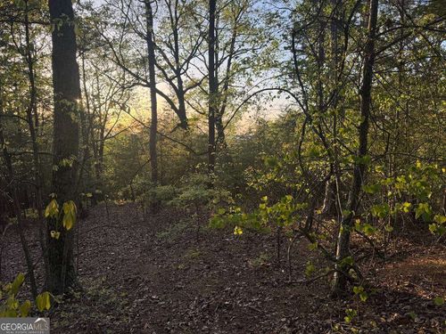 710 Railey Rdg Ne, Ranger, GA, 30734 | Card Image