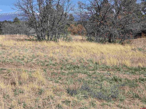 1151 Trails Blvd, Pagosa Springs, CO, 81147-7035 | Card Image